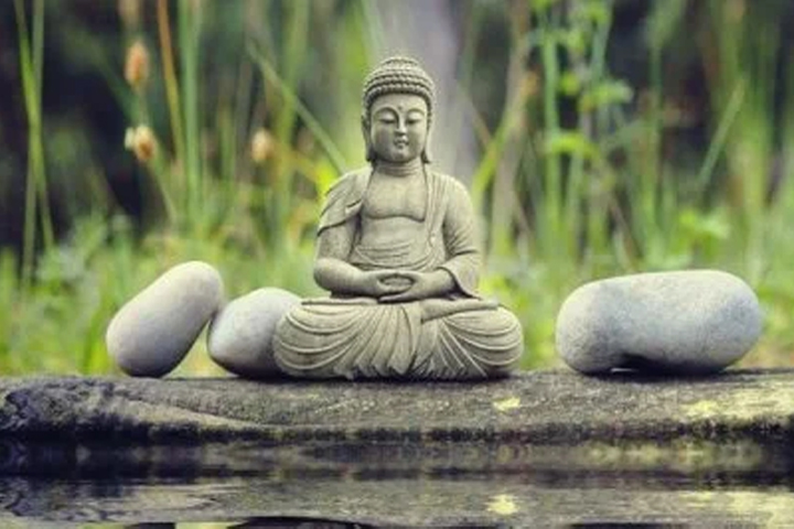 buda y bienestar