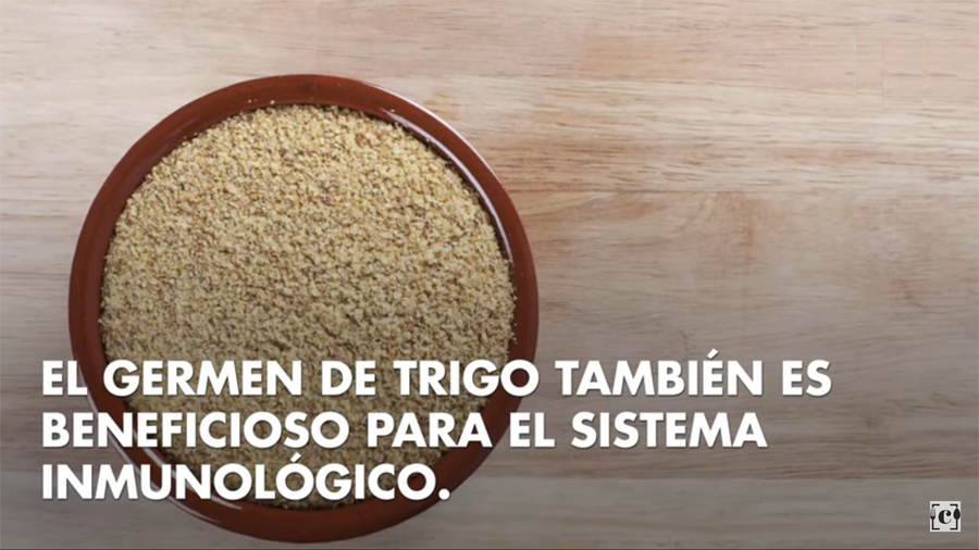 ALIMENTACION