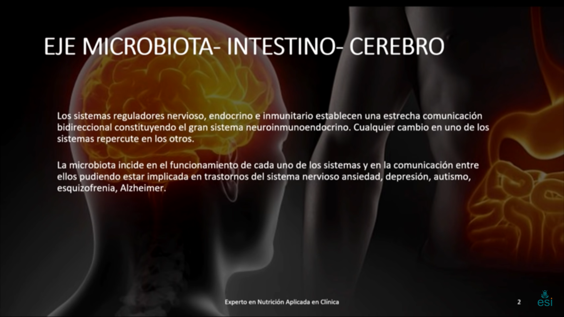 alimentos sanos